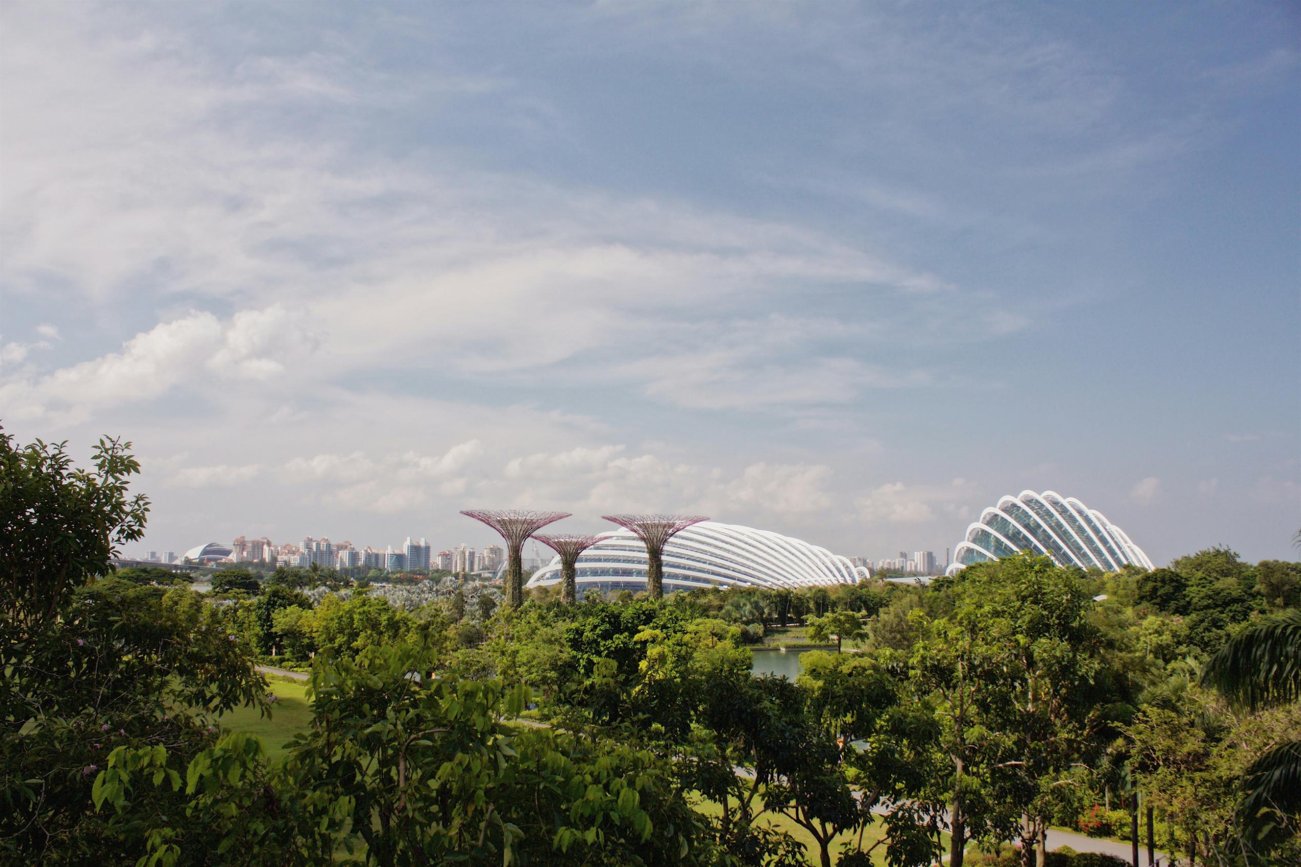 A scenic landscape features the iconic Supertree Grove and glass conservatories of Singapore's Gardens by the Bay rising above a lush canopy of green trees. The futuristic architecture contrasts with the natural foliage in the foreground, set against a backdrop of a distant city skyline under a bright, partly cloudy sky.