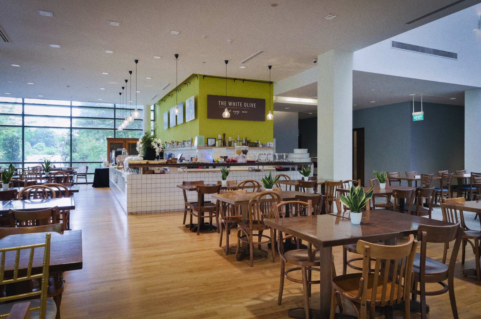 Bright, spacious café interior with wooden tables and chairs, hanging pendant lights, and a counter area labeled ‘The White Olive,’ set against large windows overlooking greenery.