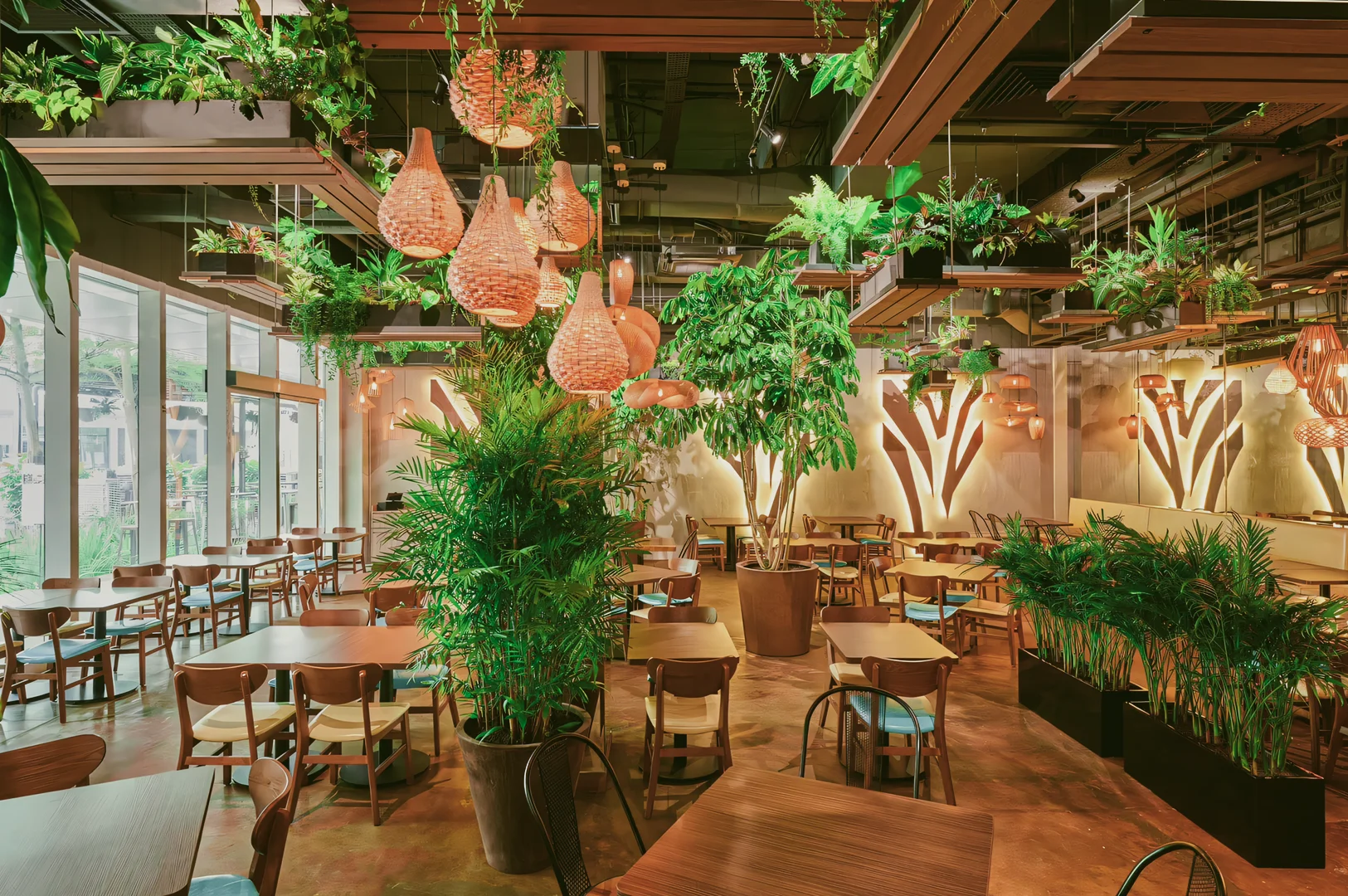 Wide-angle eye-level shot of Canopy restaurant interior with abundant indoor greenery, wooden tables and chairs, woven pendant lights, and a warm, nature-inspired dining atmosphere.