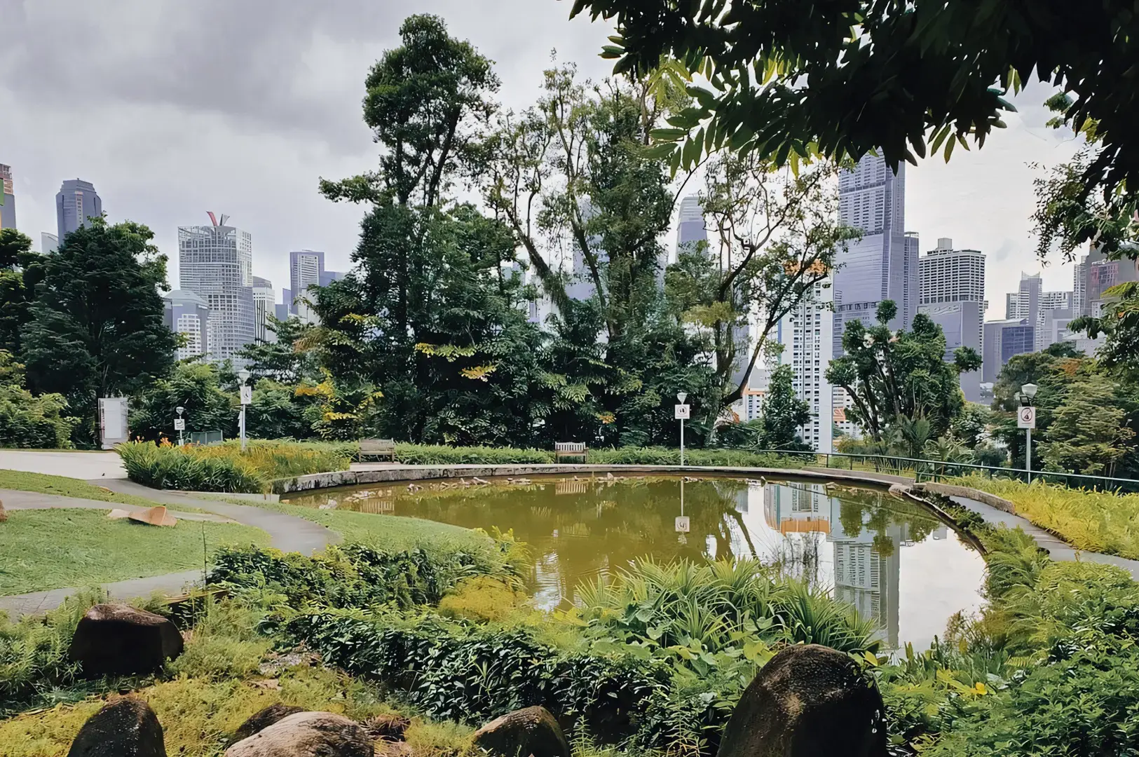 Wide landscape eye-level shot of Pearl’s Hill City Park in Chinatown Singapore, featuring a tranquil pond, lush greenery, and Singapore skyline backdrop near People’s Park Complex
