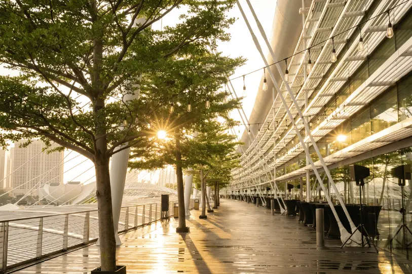 A sunlit outdoor walkway alongside a modern glass building, lined with trees adorned with string lights and tall cocktail tables set up for a waterside event.